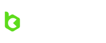 bcgame logo